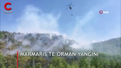 Marmaris'te orman yangını, takviye ekipler istendi!