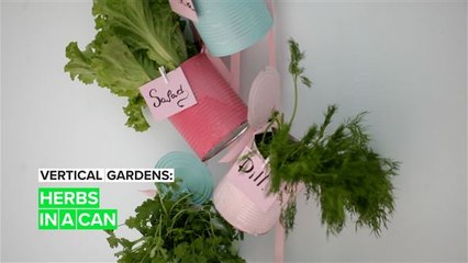 Vertical Gardens: Herbs in a Can