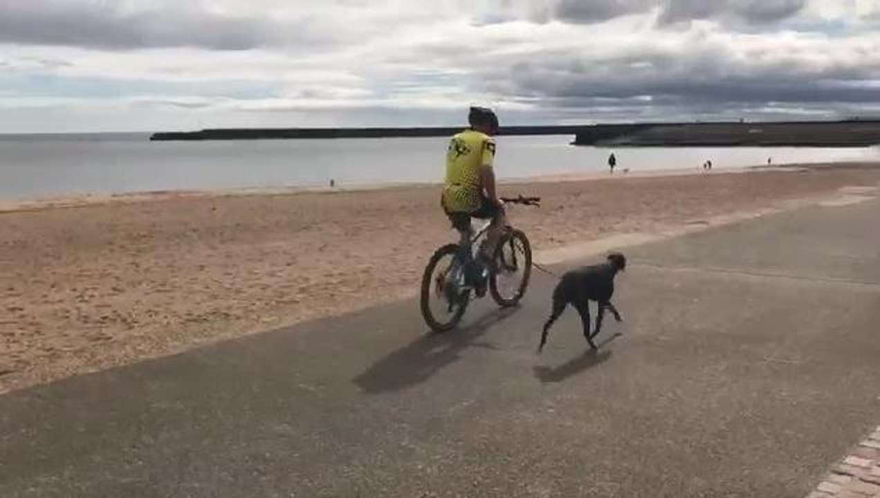 Tour de Rescue