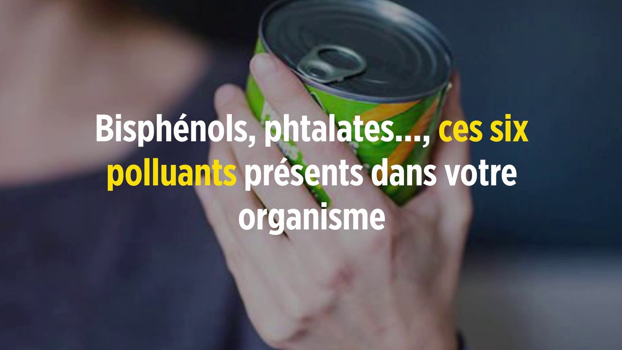 Bisphénols, phtalates..., ces six polluants présents dans votre organisme