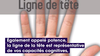 Voici ce que les lignes de vos mains révèlent sur vous