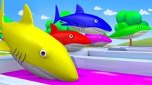 Baby Shark Nursery Rhymes to Learn Colors with  BABY SHARK SONG Baby Shark Learn Colors