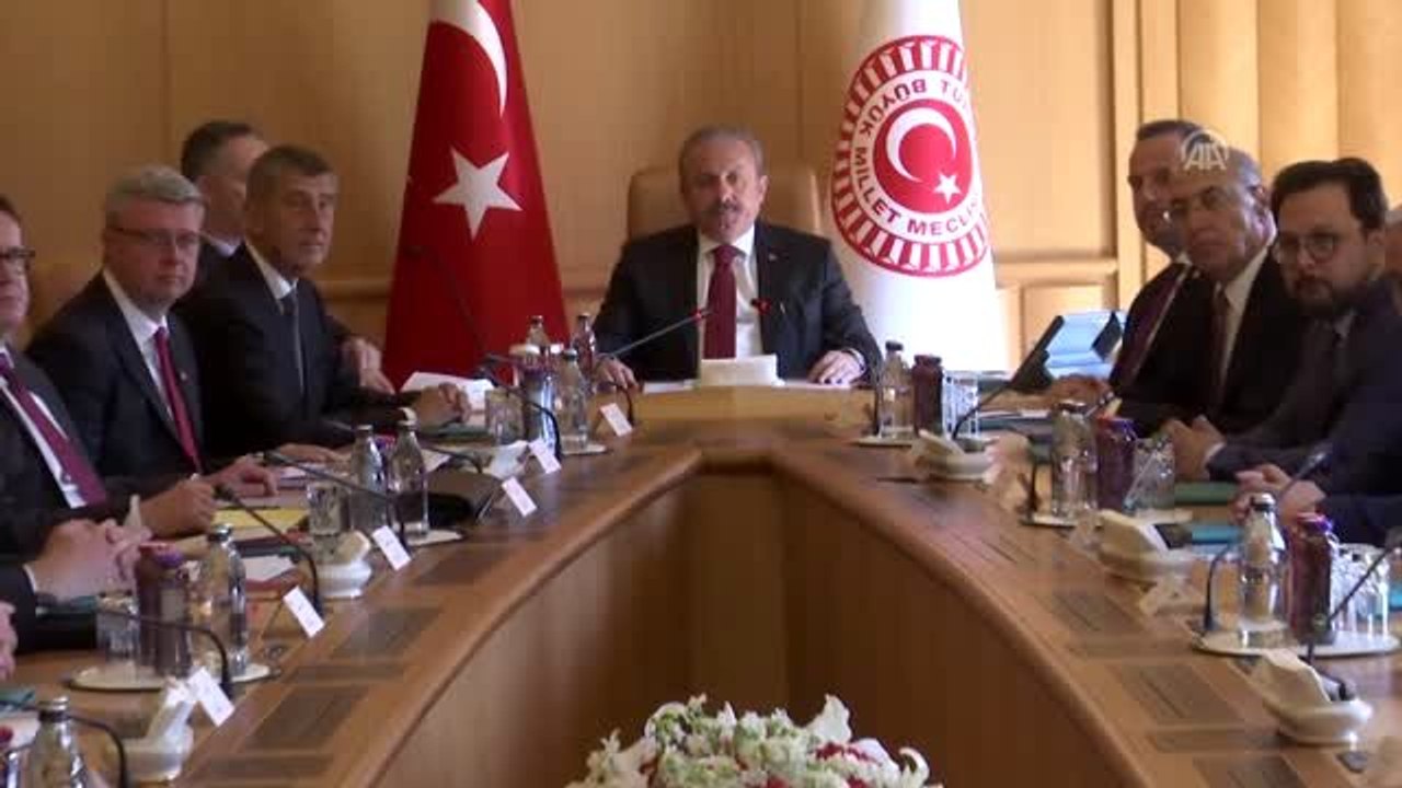 Meclis Başkanı Şentop, Çekya Başbakanı Andrej Babis'i kabul etti (1)