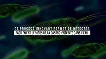 Ce procédé innovant permet de détecter facilement le virus de la gastro-enterite dans l'eau