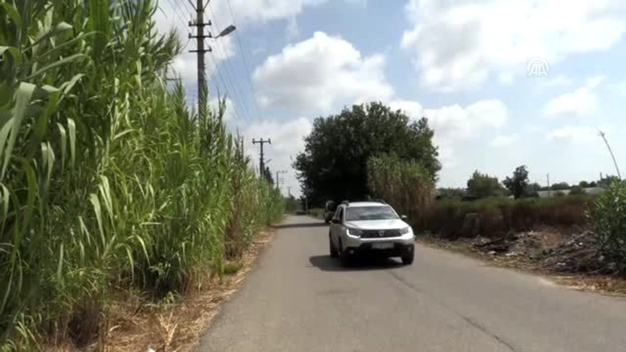Antalya'da kanalda "leş" tepkisi