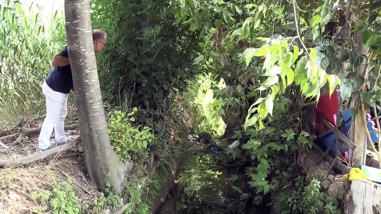 Antalya'da kanalda 'leş' tepkisi