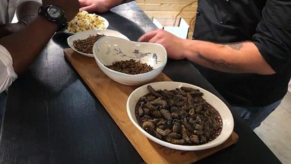 Scorpacciata di insetti al ristorante
