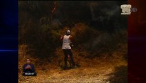 Incendios forestales aumentan en Quito