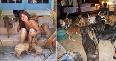 Cette femme a sauvé 97 chiens errants pendant le passage meurtrier de l'ouragan Dorian, aux Bahamas