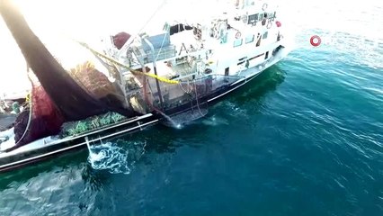 Sinop'ta istavrit bereketi