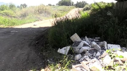 Ordu'da ırmak kenarına dökülen balıklarla ilgili inceleme