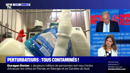 Perturbateurs: tous contaminés !