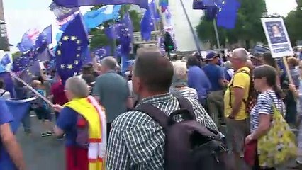 Download Video: Remainers and Leavers protest outside Downing Street gates