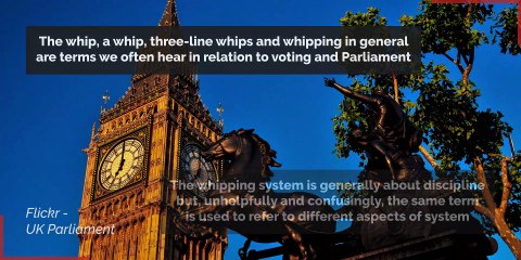 What is the whip, and what does it mean to have the party whip withdrawn