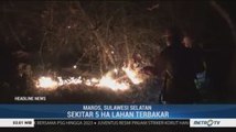5 Hektar Hutan dan Lahan Terbakar di Sulawesi Selatan
