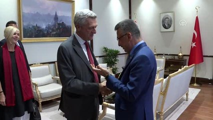 Cumhurbaşkanı Yardımcısı Oktay'ın kabulü