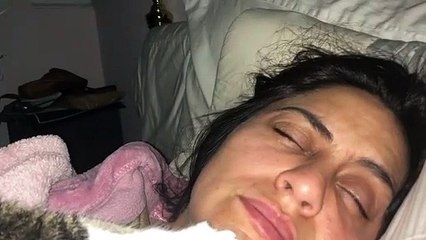 Kitty for an Alarm Clock