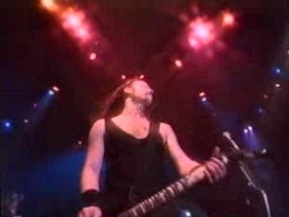 Metallica-sad but true