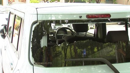 일본산 차량 파손...일본인 아내 "한국 살기 무섭다" / YTN