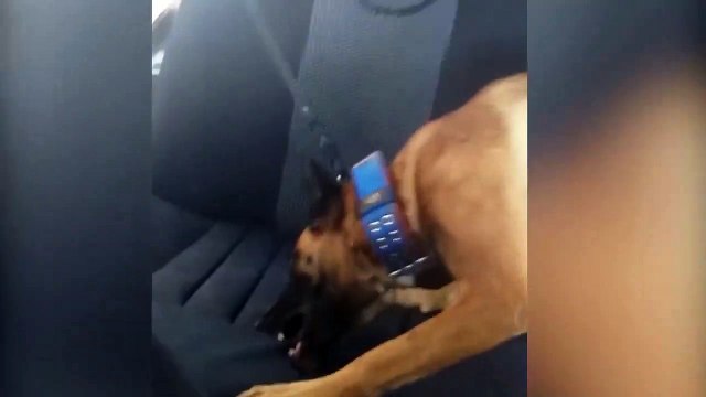 Qeni fundos shqiptarin në Greqi, ja momenti kur i shqyen sediljen e makinës dhe zbulon drogën