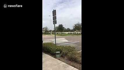 Скачать видео: Vicious winds batter Florida as Hurricane Dorian's expected landfall imminent