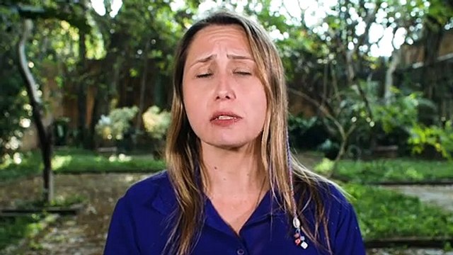 FAO ONU: Brasil consume más agrotoxicos por hectáreas que EE.UU, U.E., Canadá, Australia, Argentina...