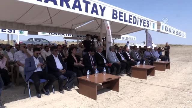 Yerli ve milli mısır çeşitleri tanıtıldı