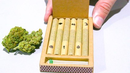 How marijuana company Lowell Herb Co. makes 4 million joints a year