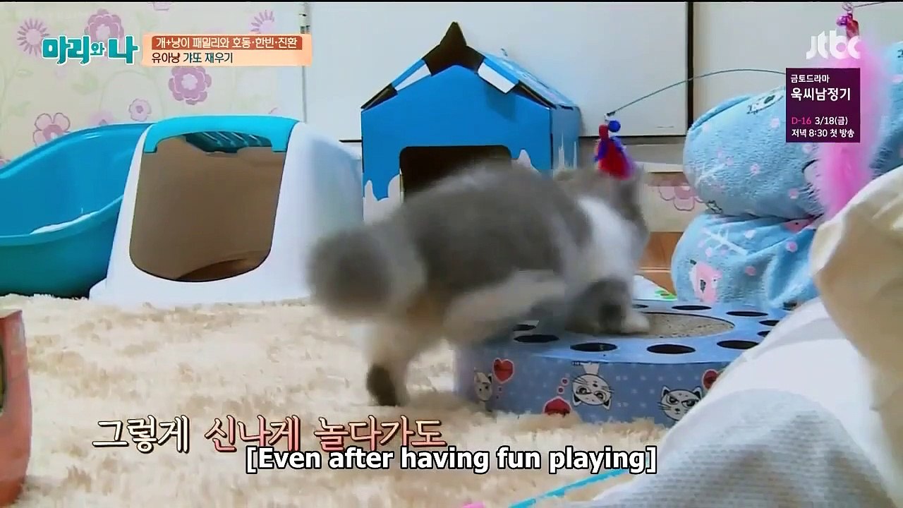 iKON Mari and I Episode 12 - Hanbin and Jinhwan + Seo In Guk Full Cut ENG SUB