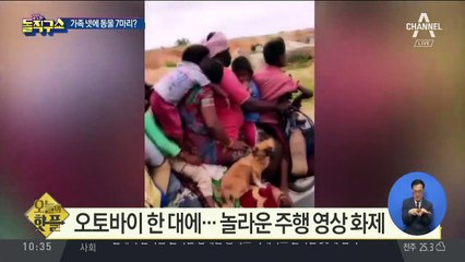 [핫플]오토바이 한 대에…놀라운 주행 영상 화제