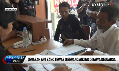 Download Video: Polisi Akan Periksa Pemilik Anjing yang Menewaskan ART