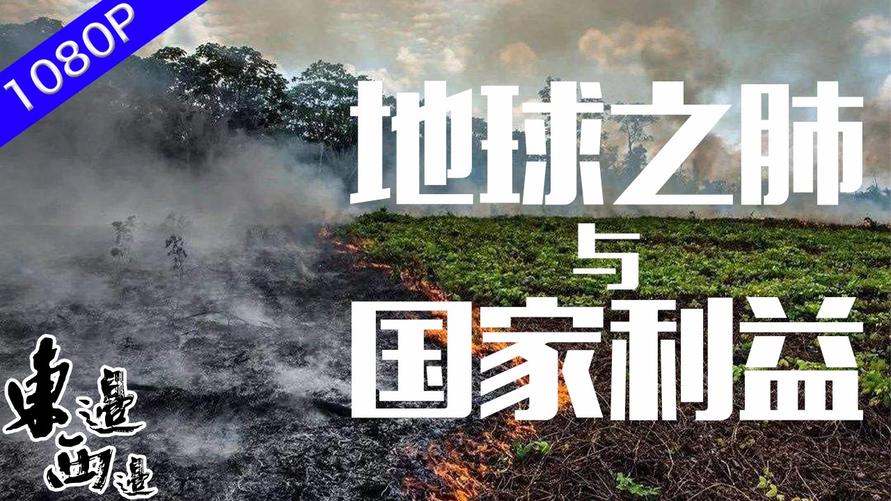「地球之肺」亞馬遜森林火災的熊熊烈火摧毀了無數物種的棲息地 並向大氣釋放了大量的二氧化碳和一氧化碳 燃燒的大火能給人類帶來什麼樣的啟示？ | 東邊西邊