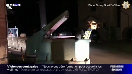 Coincé dans une poubelle, cet ourson en a été sauvé en Californie