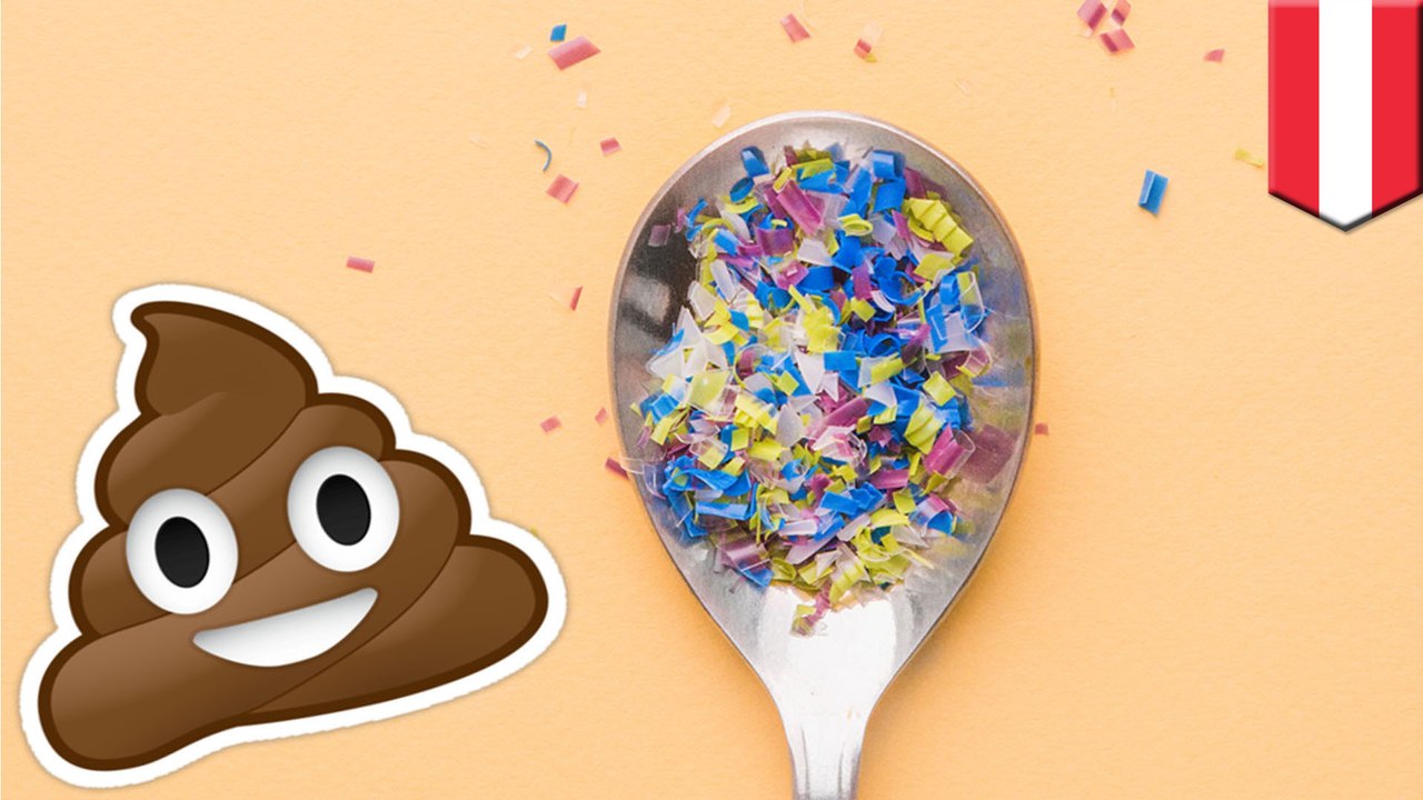 Microplastics found in human stool samples: Study