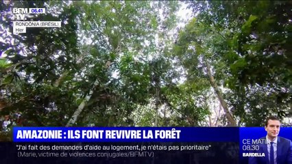 Ils replantent des arbres en Amazonie dans le but de faire revivre la forêt