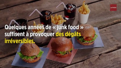 Royaume-Uni : il mange trop de frites et devient aveugle