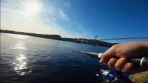Something Catchy Fishing Charters: bradenton private nearshore fishing