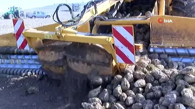 Cumhurbaşkanı Recep Tayyip Erdoğan'ın pancar alım fiyatını yükseltmesi şeker çiftçilerini sevindirdi