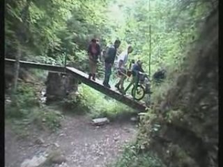 Aigle   Bruyant en joèlette