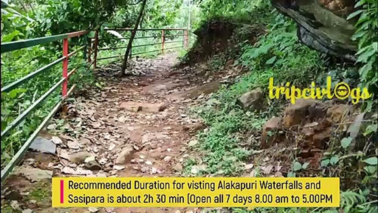 കാഞ്ഞിരക്കൊല്ലി, അളകാപുരി വെള്ളച്ചാട്ടം || kanjirakolli || Tripci Vlogs || #Vlog 11