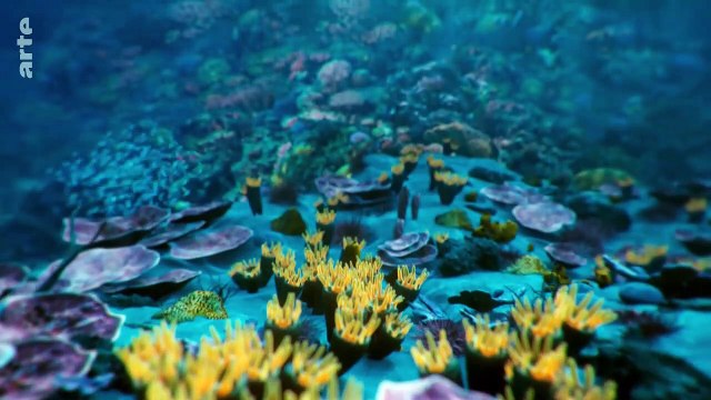 Cosmos, une odyssée à travers l'univers : Le premier génie (S1:E10)