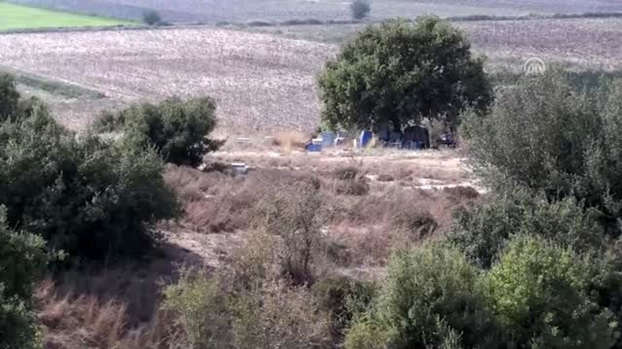 Arıların soktuğu kovan hırsızlığı şüphelisi öldü