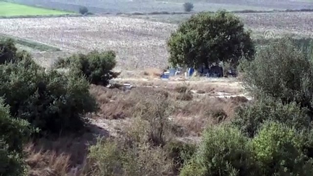 Arıların soktuğu kovan hırsızlığı şüphelisi öldü - ADANA