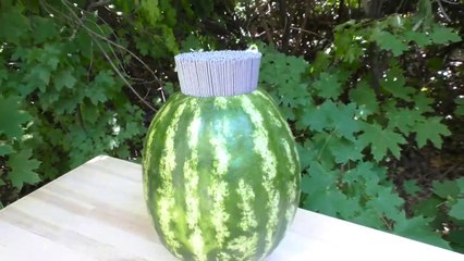 Experiment: A lot of sparklers Vs Watermelon