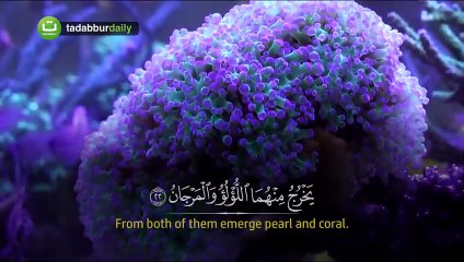 Quran Surah Ar Rahman - syaikh Mansour Mohieddine