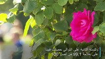 فيينا مجددا أفضل مدن العالم لجودة العيش