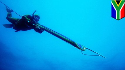Diver survives accidental spear gun shot to the head