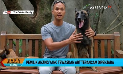 Kasus Anjing Gigit ART, Bima Aryo Terancam Dipenjara