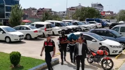 Ormanlık alanda kenevir yetiştiren şahıs adliyeye sevk edildi