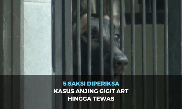 Kasus ART Tewas Digigit Anjing Bima Aryo, Polisi Periksa Lima Saksi